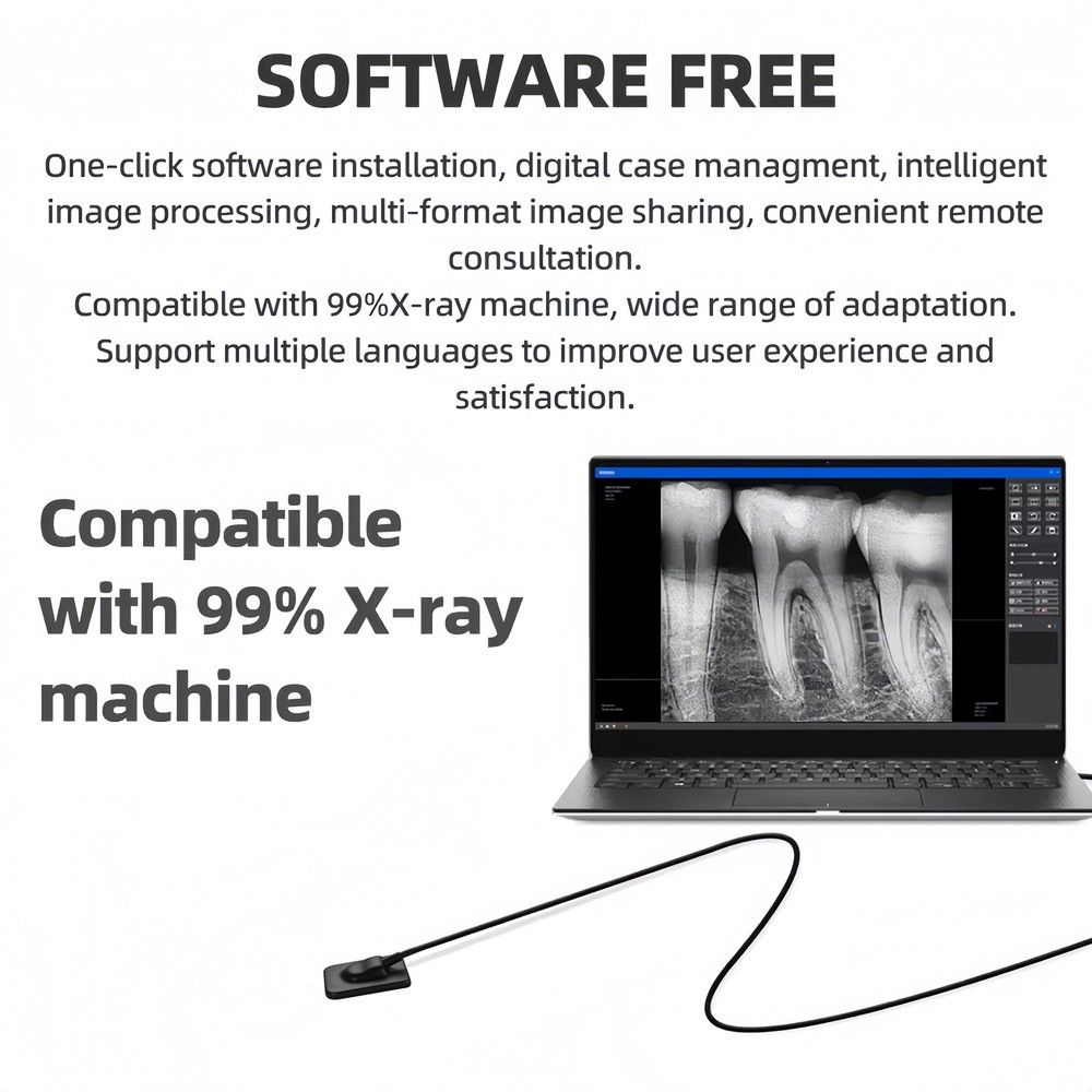 Dental X ray Sensor Digital Sensor Rayos Digital Imaging System Sensor w/ Holder