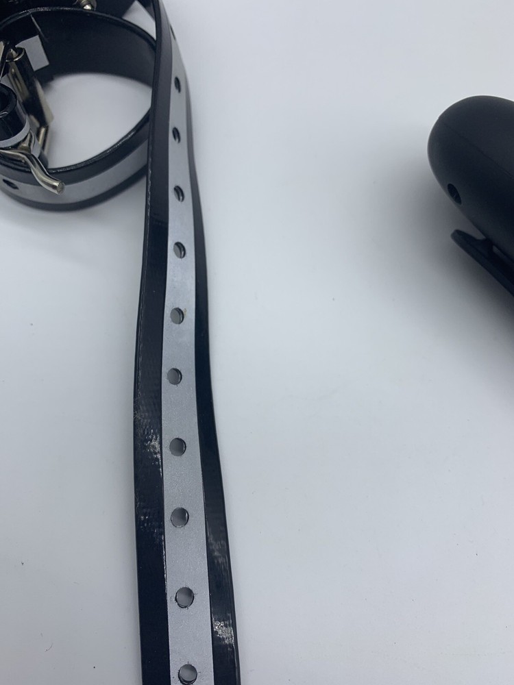 Dog Training Collar M900