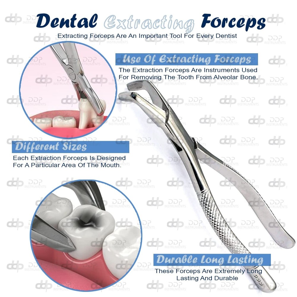 EXTRACTING FORCEPS # 222 DENTAL SURGICAL INSTRUMENTS