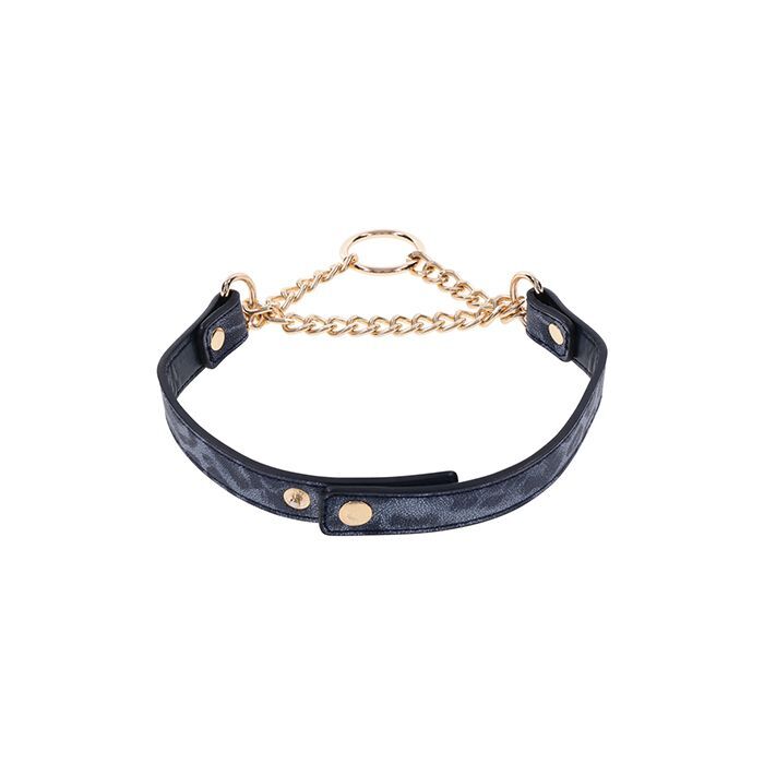 Sportsheets Cougar Day Collar