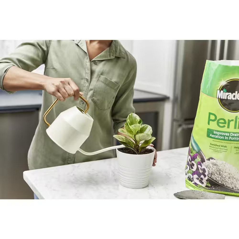 8 Qt. Perlite Soil