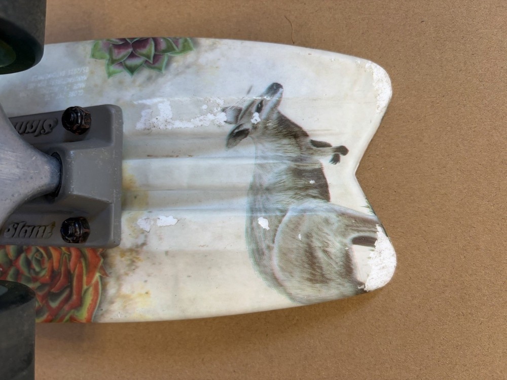 Globe Bantam Outback 23" Cruiser Skateboard Vintage