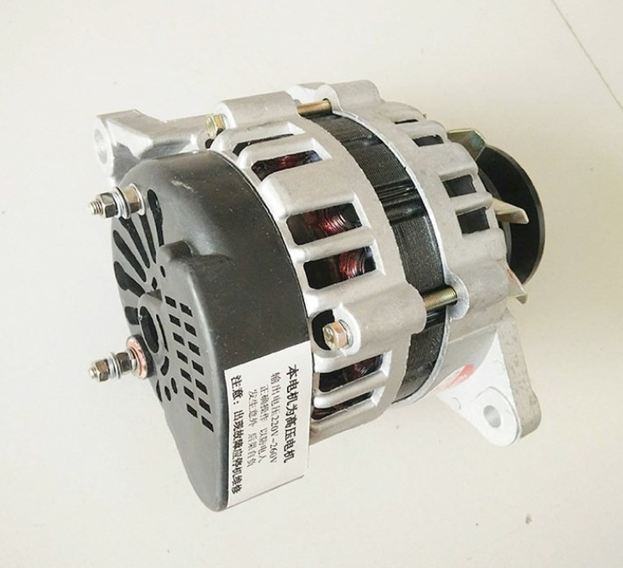 1300W small generator permanent magnet brushless constant voltage copper core