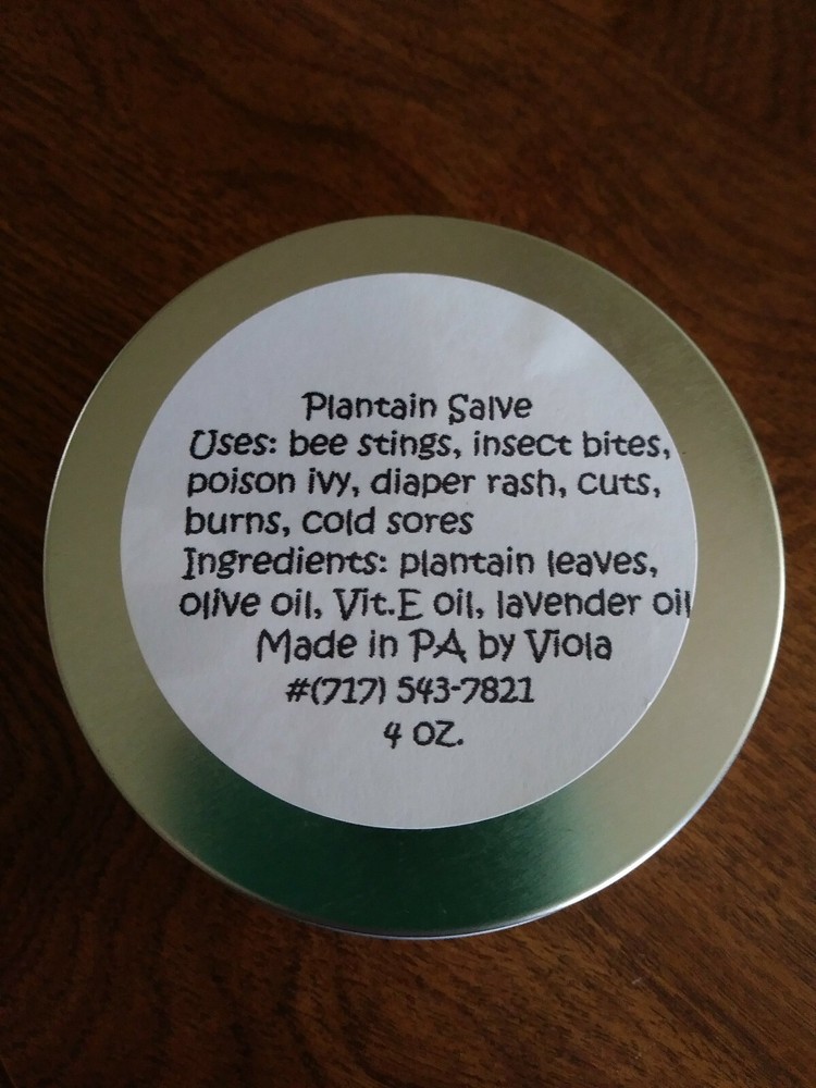 Plantain salve  4 oz.