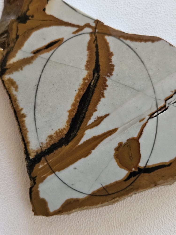 Owyhee Jasper Lapidary Slab 28 Grams