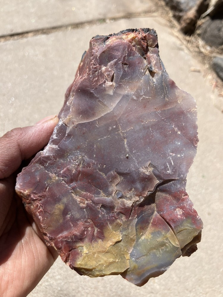 Arizona Petrified Wood Specimen