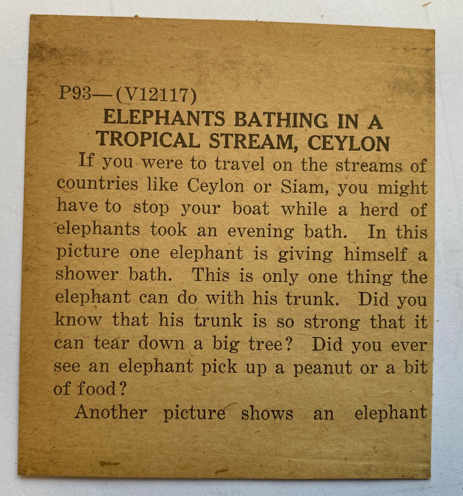 KEYSTONE MAGIC LANTERN SLIDE 93 ELEPHANTS BATHING IN STREAM CEYLON 1920s
