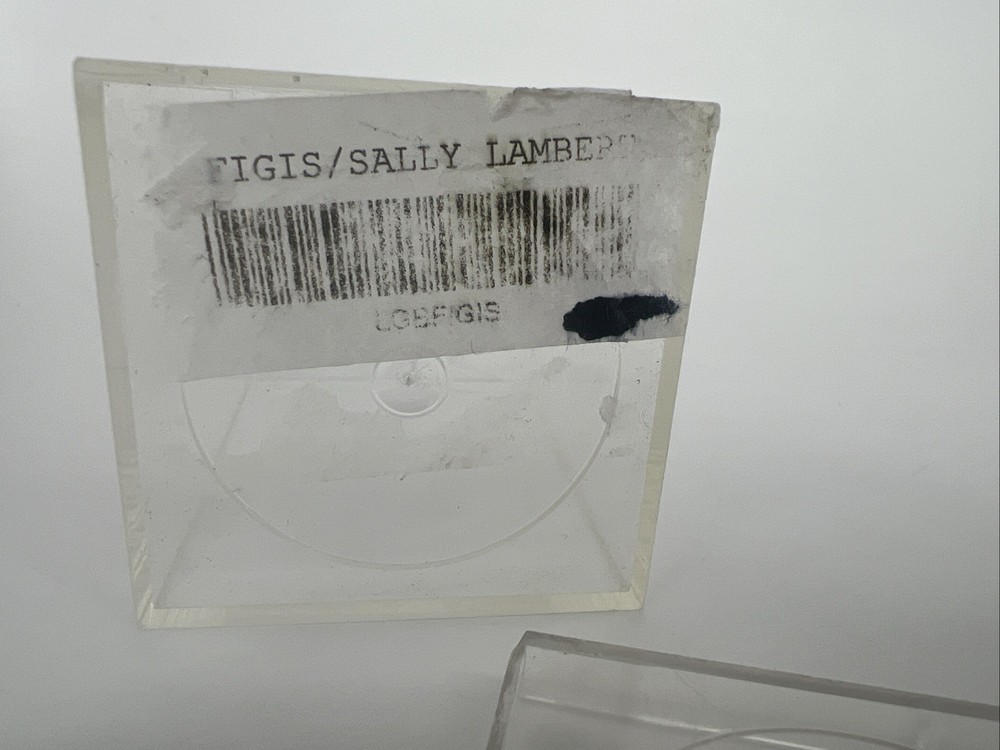 Handmade Miniature Bear Bug Flower Signed “FIGIS” by Sally Lambert
