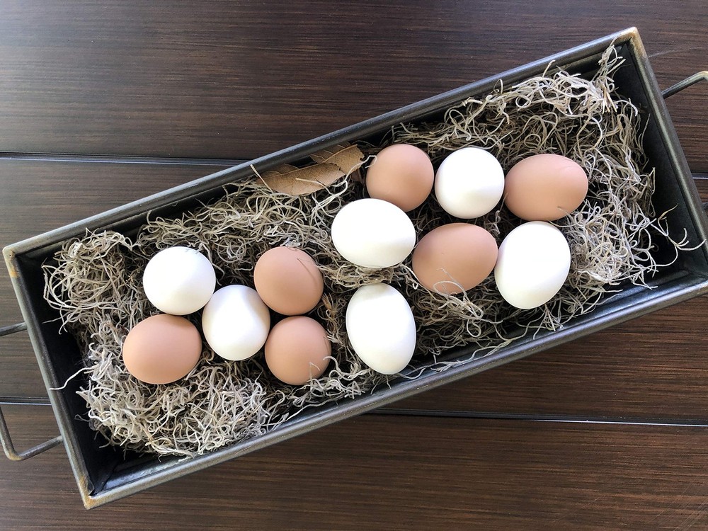 Ceramic Nest Eggs 6-Pack (Brown)