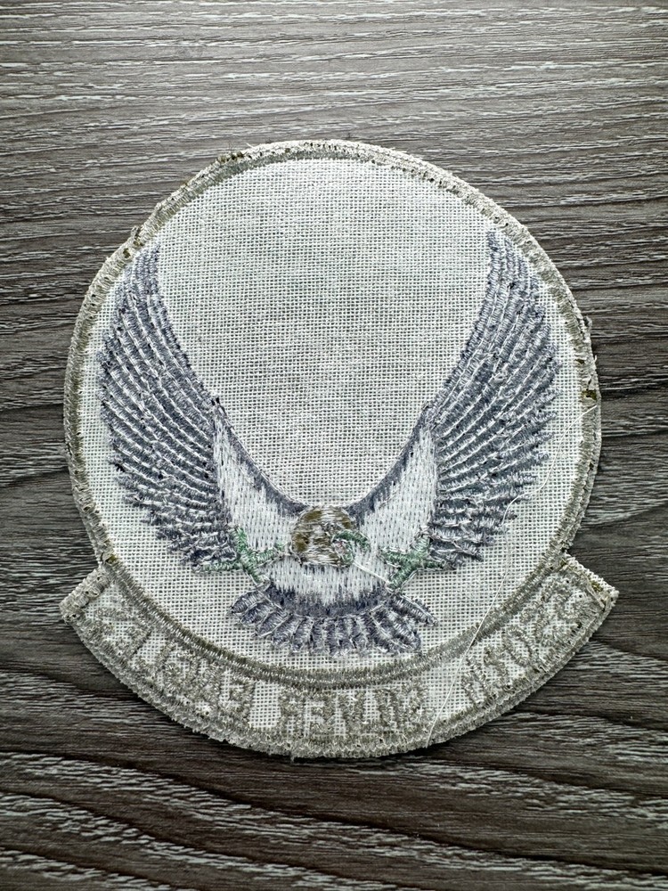 USAF 550th Fighter Squadron Silver Eagles Patch Original Issue