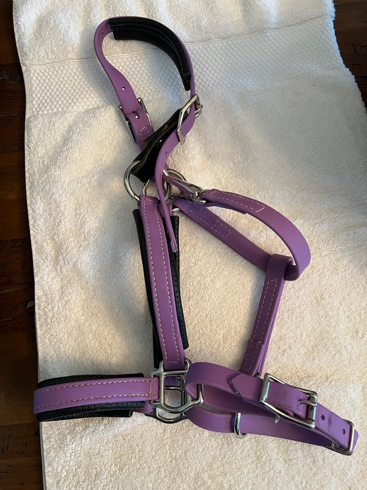 Neoprene Yearling Halter