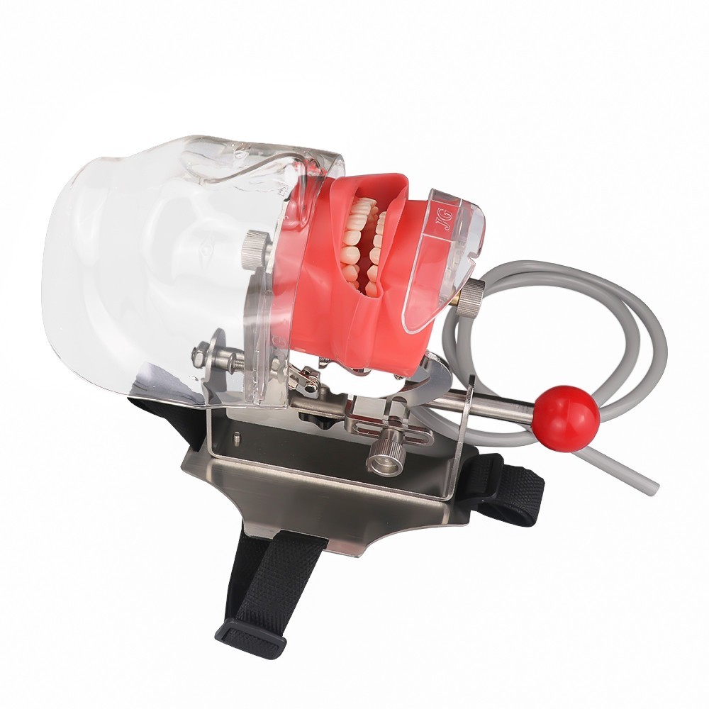 Dental Manikin Phantom Head Model Training Simulator Installed on Chair Headrest