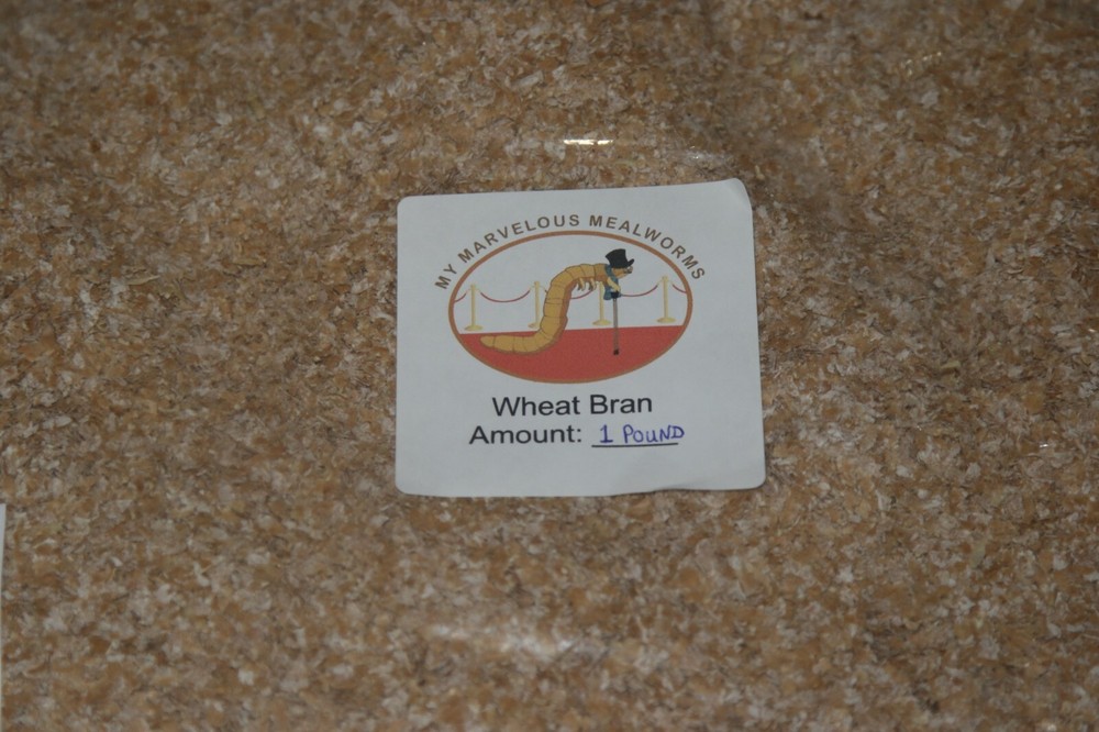 Mealworm Farm Starter Kit - FREE Priority Mail shipping