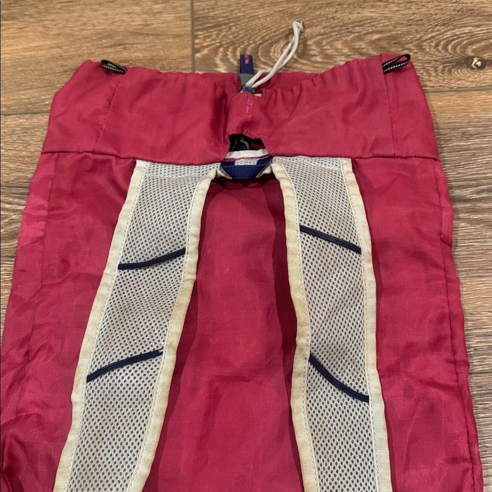 Gregory Pink Day Bag