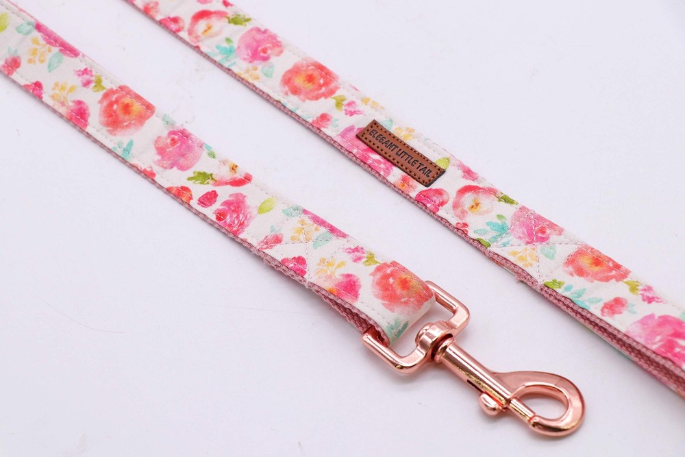 Strong Durable Traditional Style Webbing Dog Leash for Small Medium Large