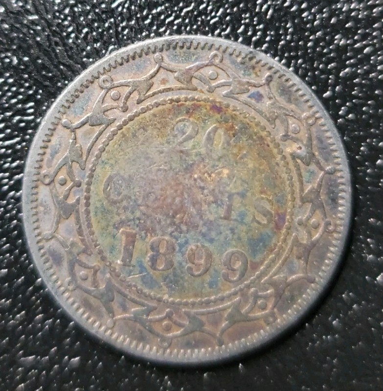 1899 newfoundland 20 cents