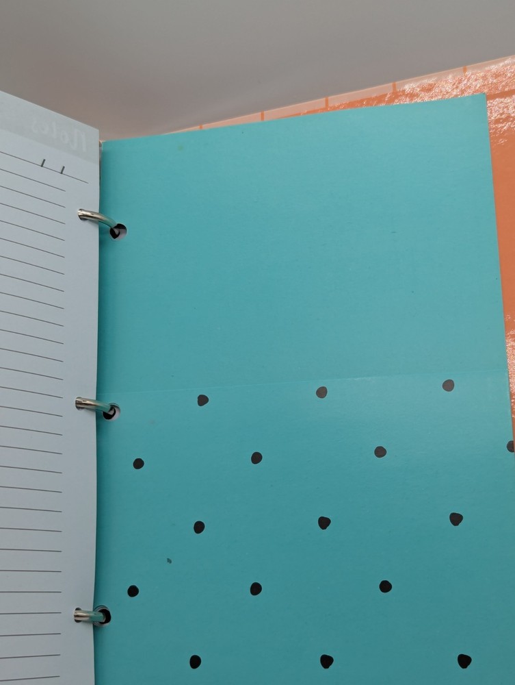 Day Planner W/Multiple Sections, Stickers, Sticky Notes, Pgs For Notes, Pockets