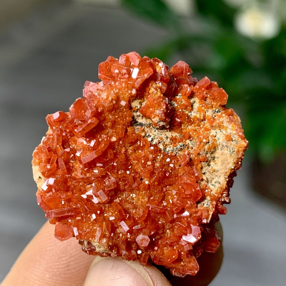 13GNatural Beautiful Vanadinite Atone Cluster Quartz Mineral SamplefromMorocco