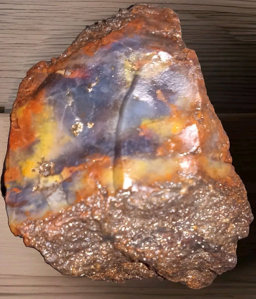 Petrified Wood Rough Specimen AZ 50g