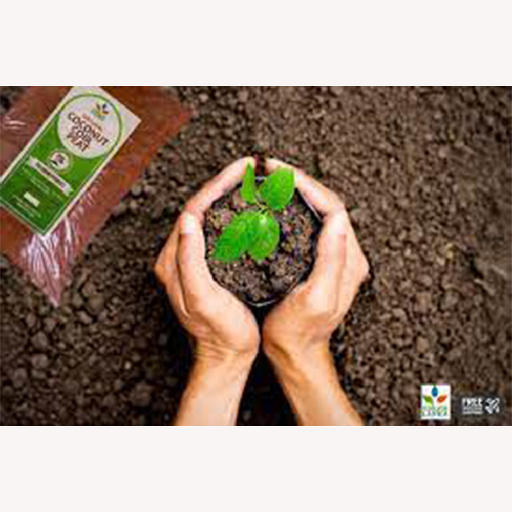 coconut husk powder