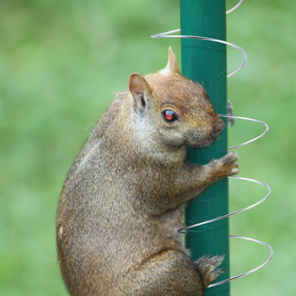3 Pieces Squirrel Baffle Metal Spring Device Barrier Silver