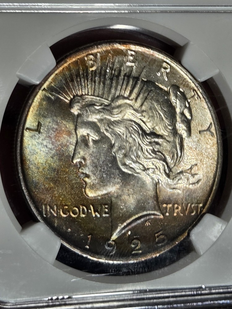 1925 $1 Peace Dollar NGC MS65 Toned