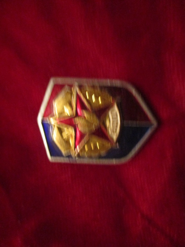Foreign Military Pin
