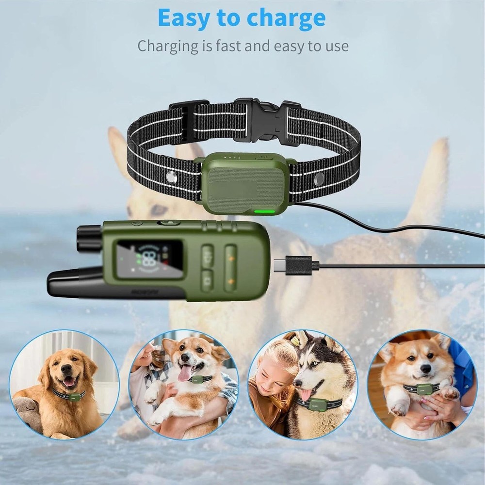 2-in-1 Magnetic USB-C Charging Cable Fast for Jugbow Training Collar Device