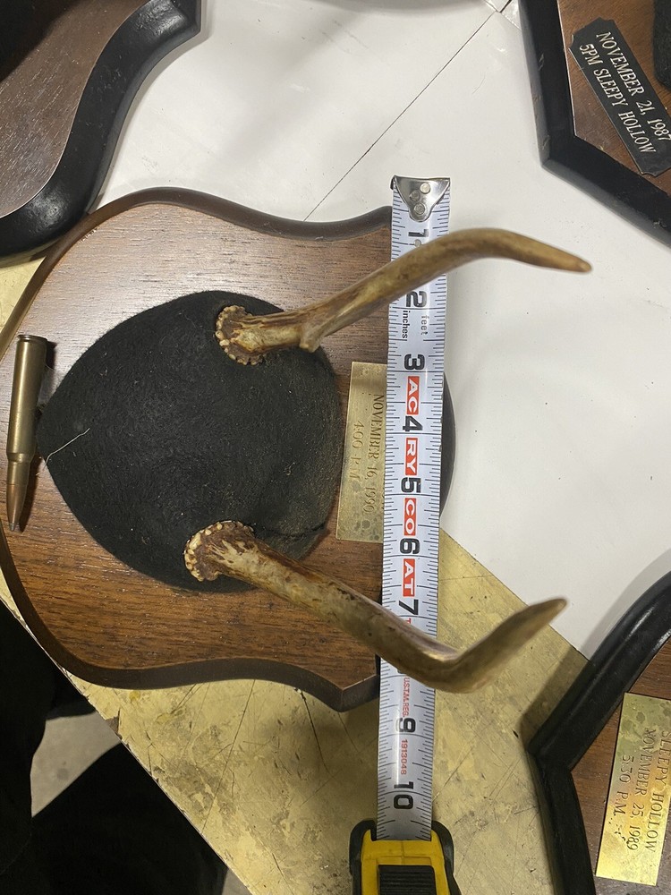 7 Antler Trophies on mounting plaques