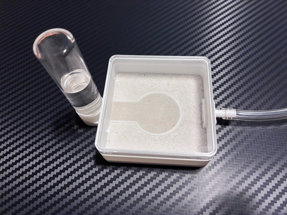 Ant Nest (Read Description)