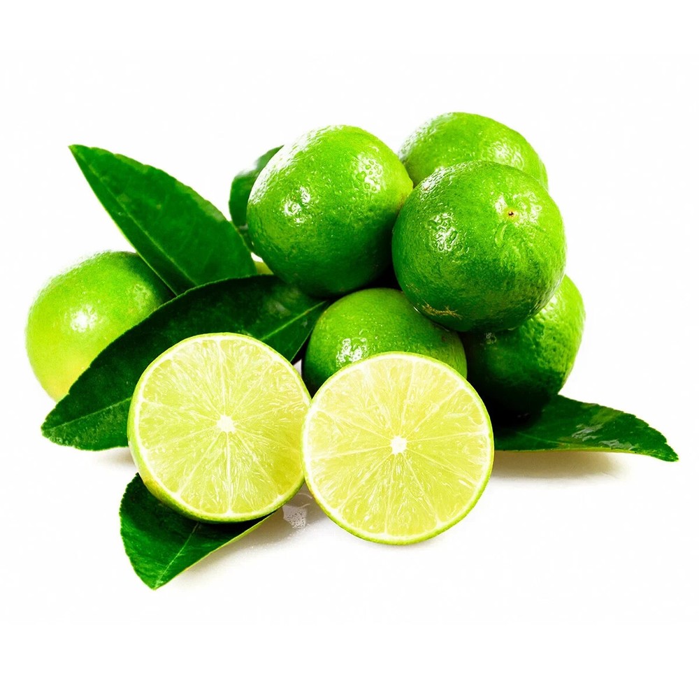 Mexican Key Lime Tree 3-4" - Live Plant - Sapling