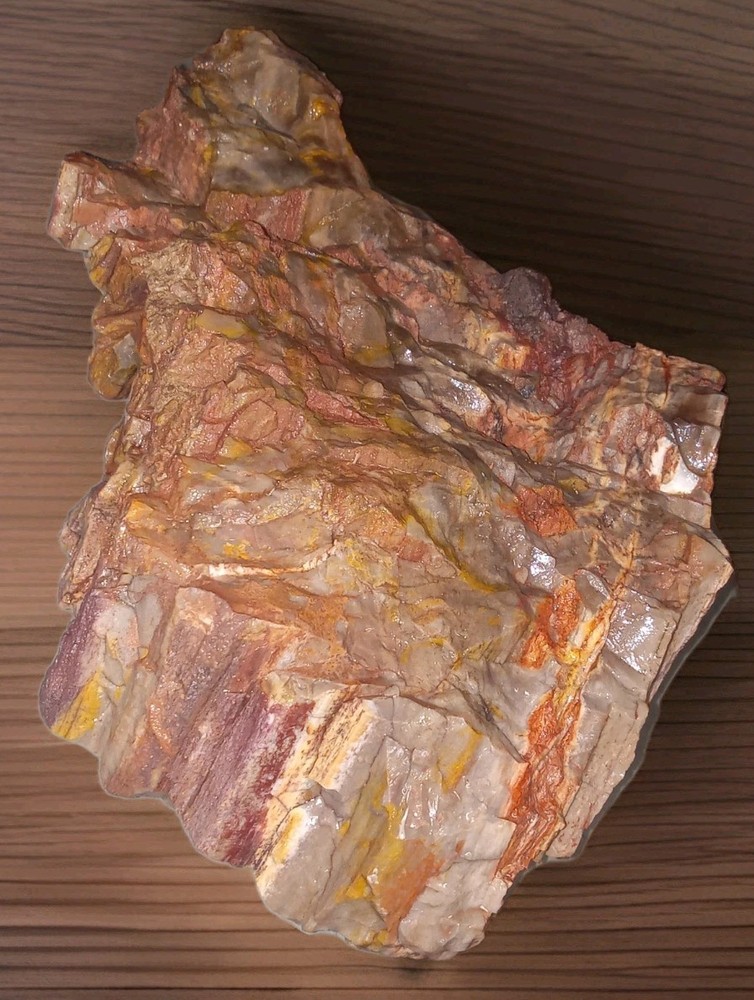 Petrified Rainbow Wood Rough AZ 2 lbs+