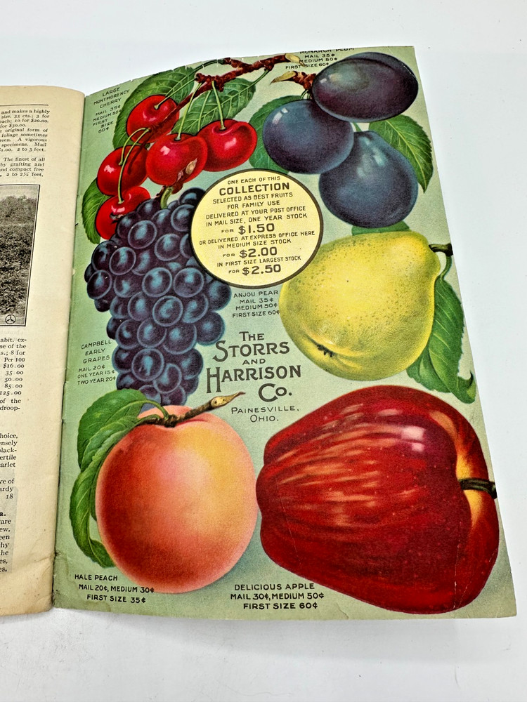 The Storrs Harrison Seed Catalog 1919