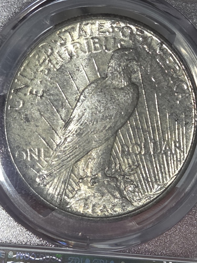 1925 $1 PeaceDollar PCGS MS64 Toned