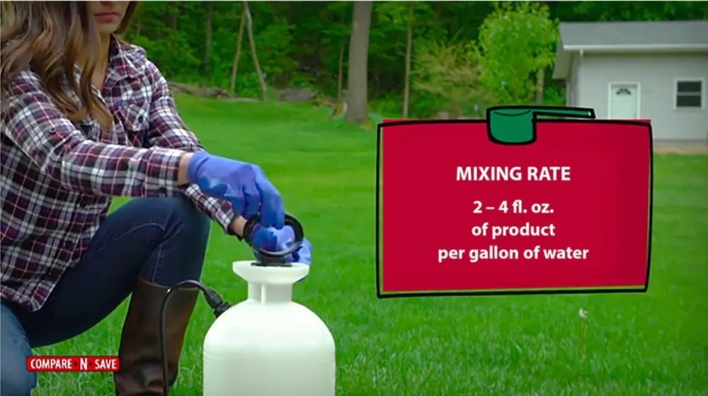 Compare-N-SaveWeed and Grass Killer with Glufosinate - 1Gal