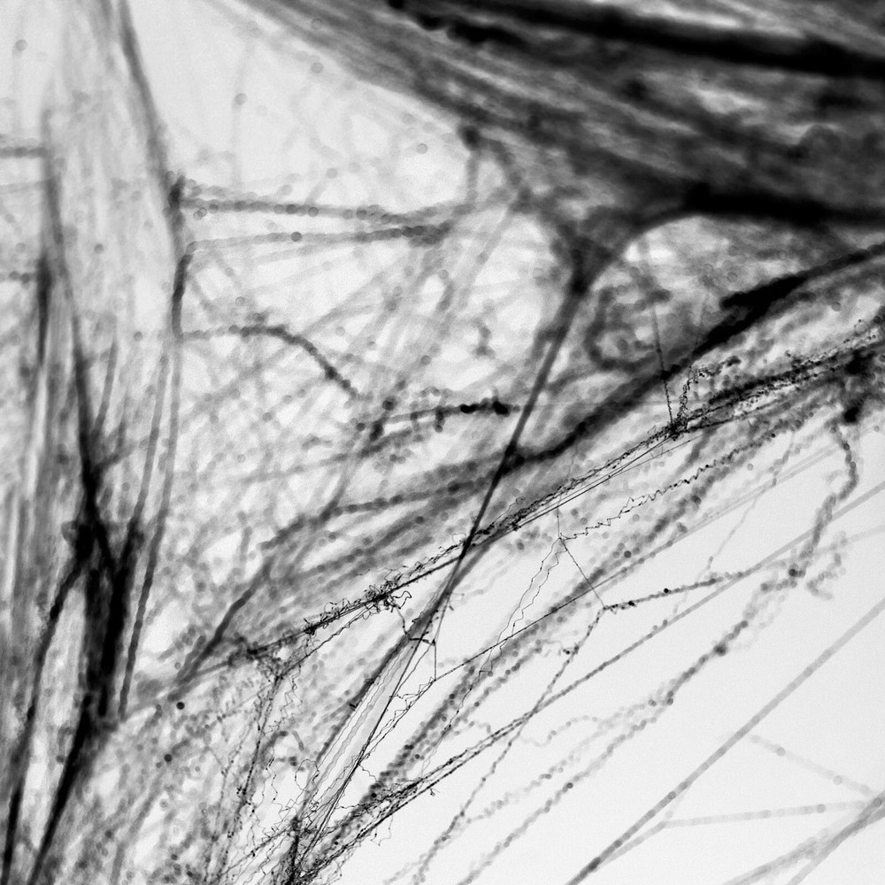 HALLOWEEN BLACK SPIDERS WEB | Halloween Decorations | Halloween Decor