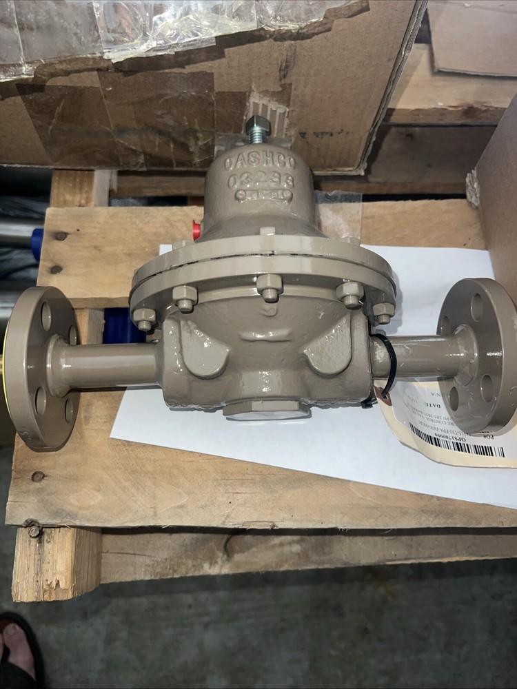 Cashco 3/4" 150# Model D Regulator