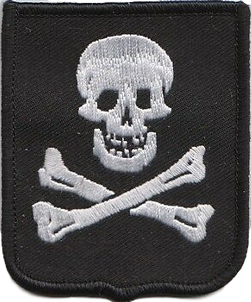 Skull & Crossbones Flag World Embroidered Patch Badge