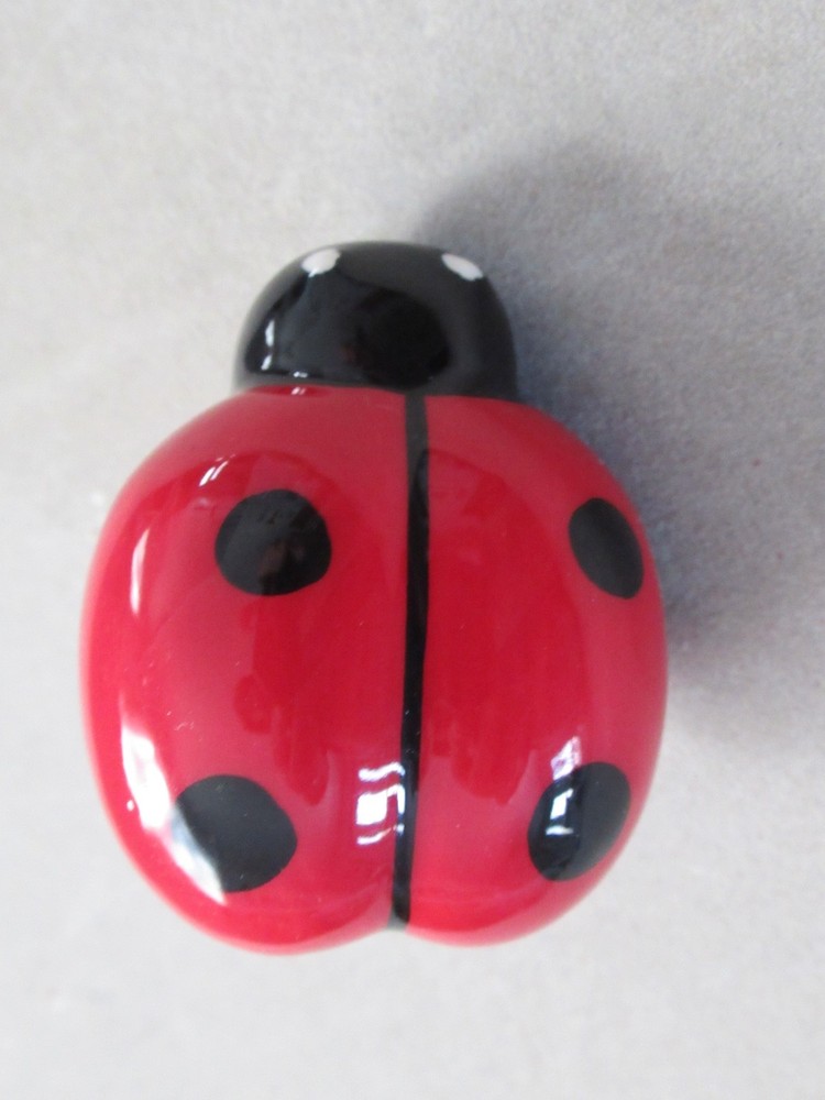 Nora Fleming Mini Lil' Ladybug A115 Spring Summer Decoration