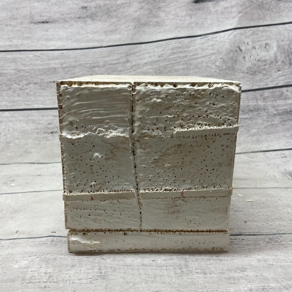 Unbranded Ceramic Casting Mold Tree