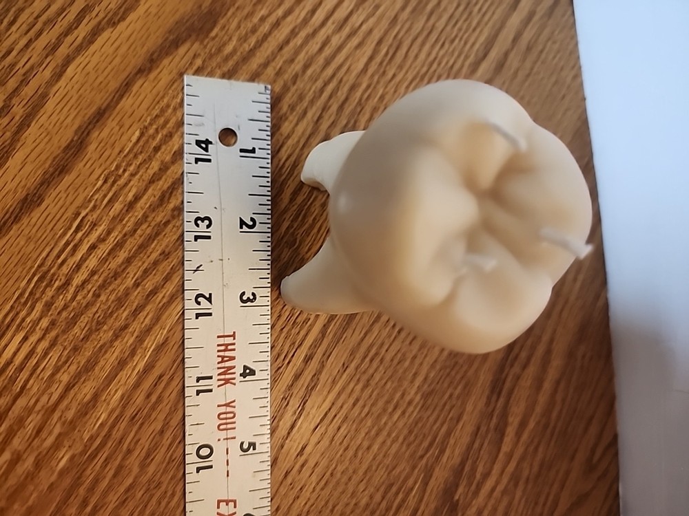 Molar Candle 3wick, Pre-owned, Never Lit