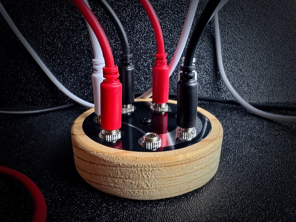 Passive Multiple (Handmade, Rucci Electronics)