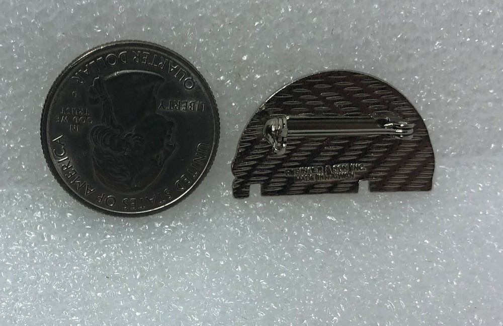 Skier Rainbow Pin