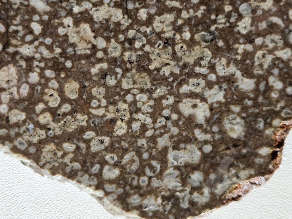 Odd Lapidary Slab 116 Grams