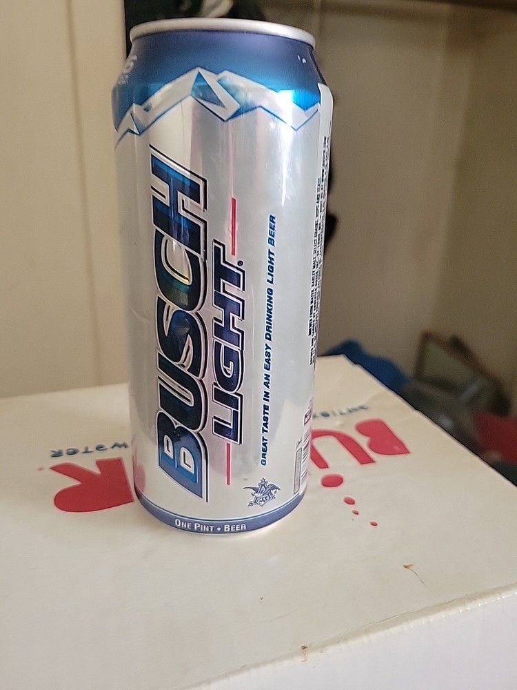 2013 Busch Light Empty Can