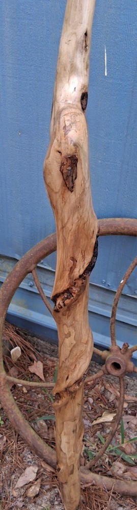 Handcrafted Wooden Walking Stick