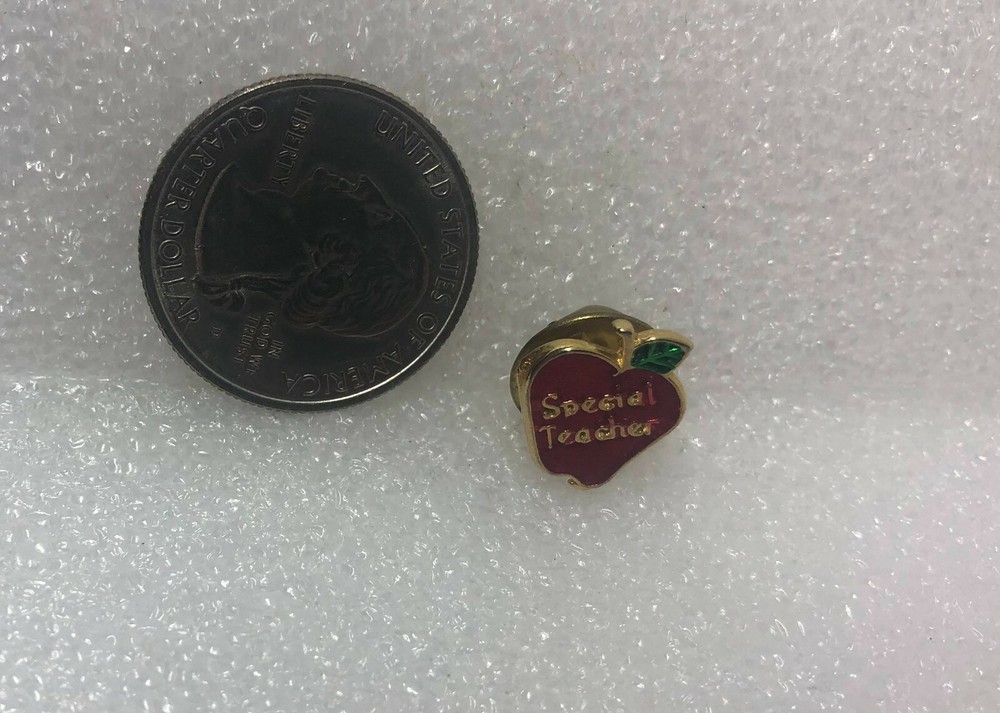Special Teacher Apple Pin