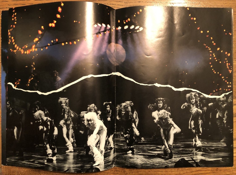 Cats Playbill Stagebill Program Schubert Theatre Chicago 1981