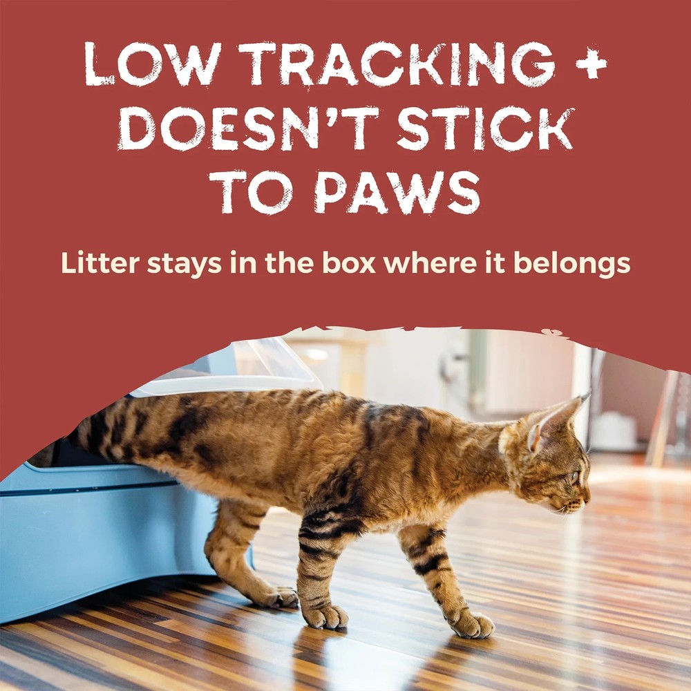 Naturally Fresh Walnut-Based Quick Clumping Multi-Cat Litter, Unscented, 40 lb