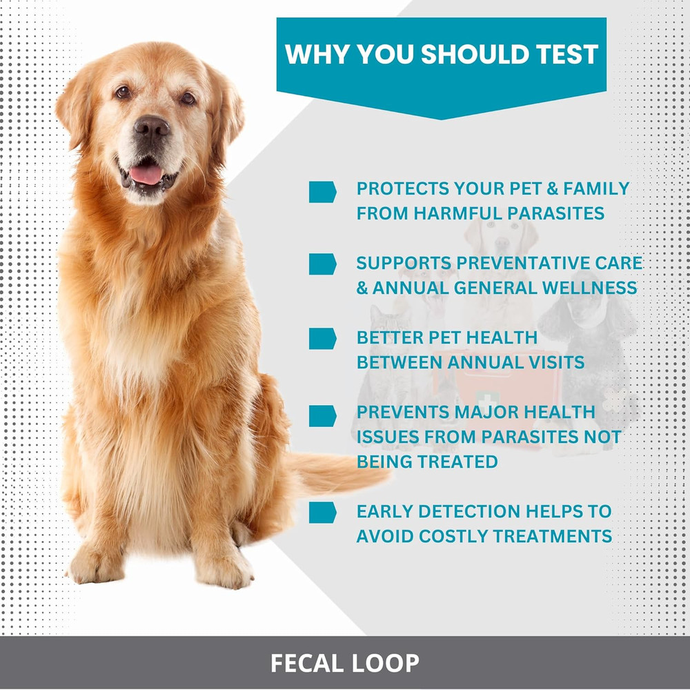 Fecal Loop for Small and Medium Animals, Stool Sample Collection Kit for Smal...